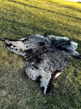 Premium Speckled Cow Hide Rug | Genuine Black & White Cowhide | Cow Hide Rug Price in Pakistan | Natural Cow Skin Carpet