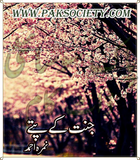 Jannat Kay Pattay By Nimra Ahmed | Urdu PDF