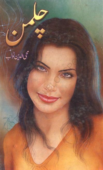 chillman by muheed ul uddin nawab | urdu pdf