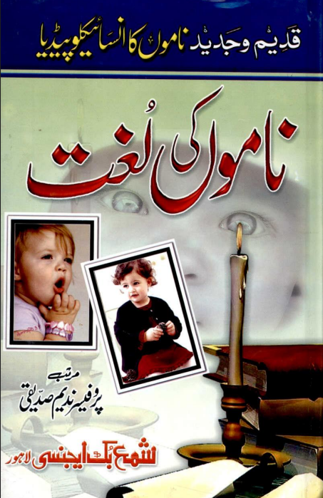 Namo Ki Lughat by Professor Nadeem Siddiqui | Urdu PDF