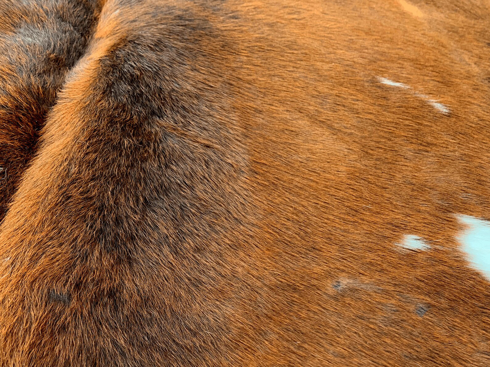 Hair on Cowhide Rug Brazilian Cowhide Rug Natural Cowhide Rug Cowhide Floor Rug Handmade