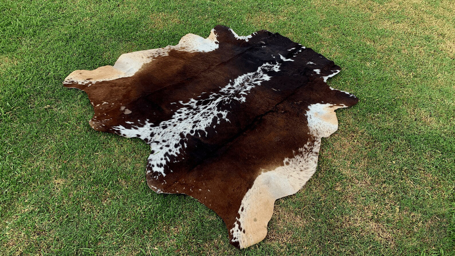 Natural Tricolor Cowhide Rug - Large Cowhide Rug for Living Room Area - Brindle Cowhide Rug - Natural Cowhide Floor Rug