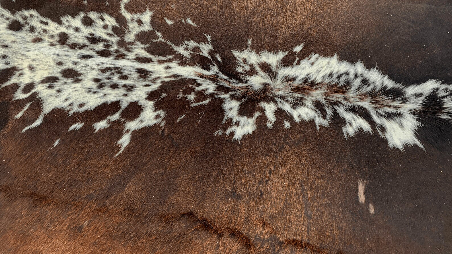 Natural Tricolor Cowhide Rug - Large Cowhide Rug for Living Room Area - Brindle Cowhide Rug - Natural Cowhide Floor Rug