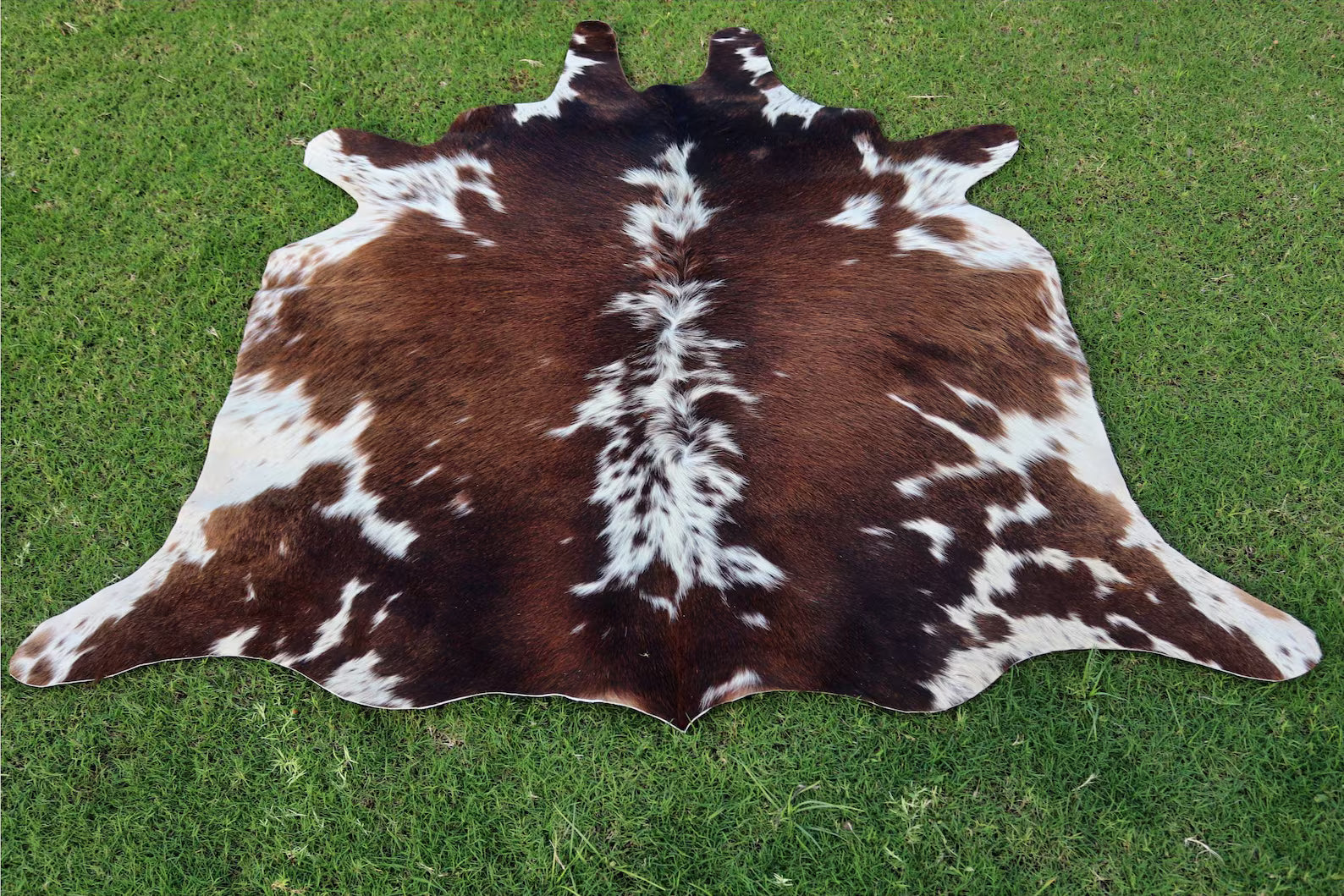 Tricolor Cowhide - Brown and White Genuine Cow Skin Rug - Hair On Cowhide Rug