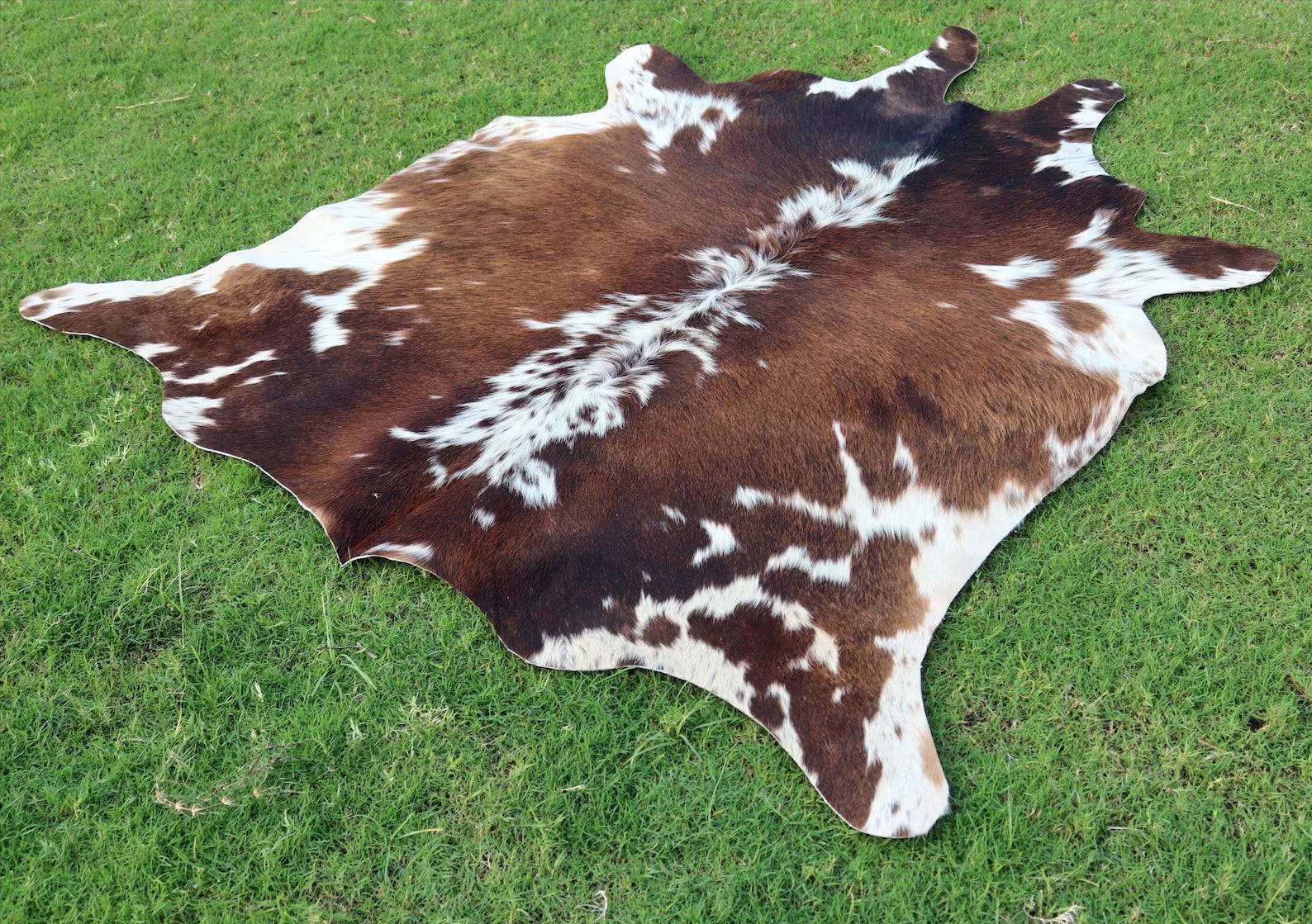Tricolor Cowhide - Brown and White Genuine Cow Skin Rug - Hair On Cowhide Rug