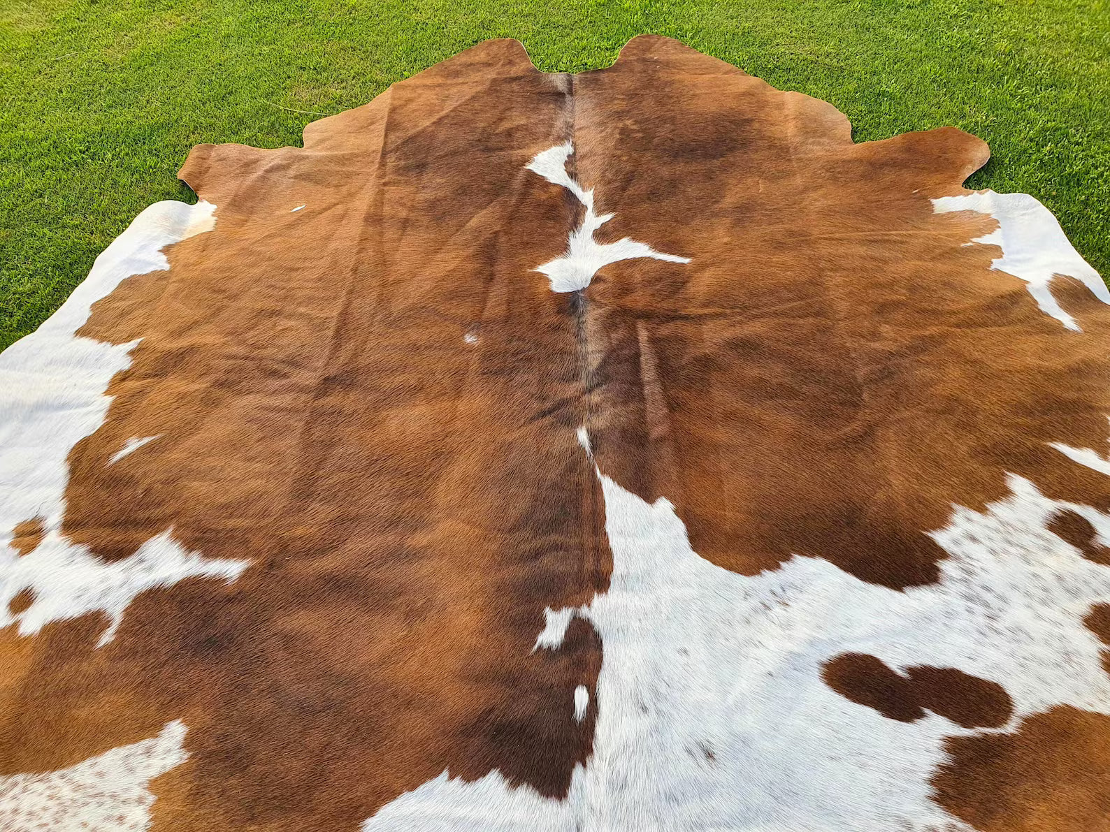 Exotic Brown and White Cowhide Rug-Genuine Panda Print Cow Skin Rug For Western Home Decor-Brazillian Floor Area Rug-Luxury Hair on Cowhide