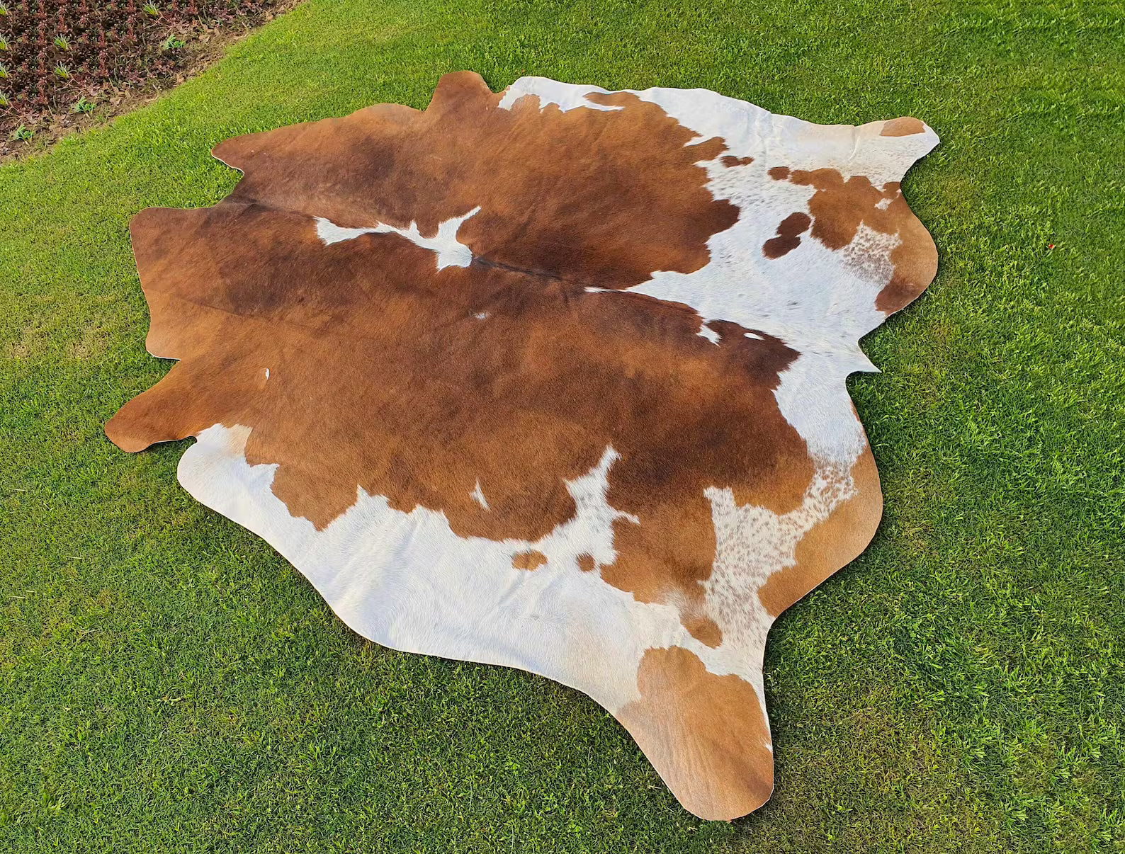 Exotic Brown and White Cowhide Rug-Genuine Panda Print Cow Skin Rug For Western Home Decor-Brazillian Floor Area Rug-Luxury Hair on Cowhide