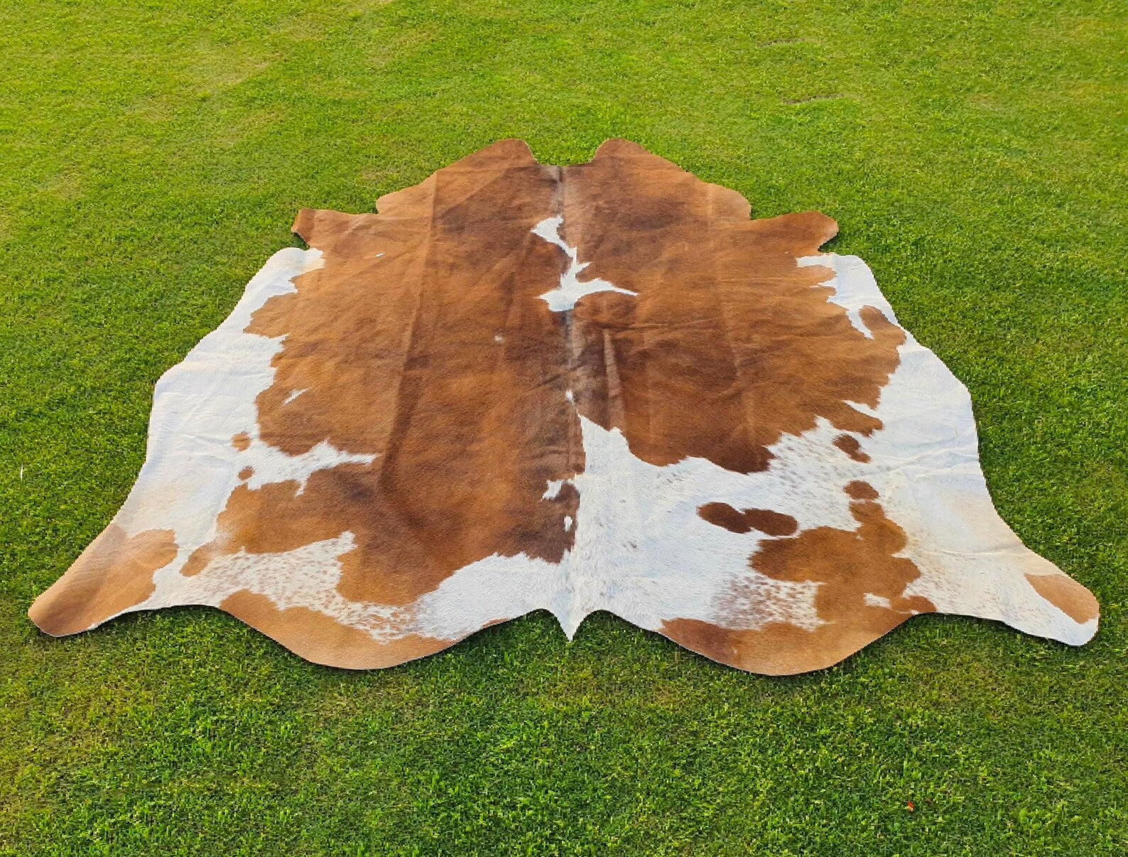Exotic Brown and White Cowhide Rug-Genuine Panda Print Cow Skin Rug For Western Home Decor-Brazillian Floor Area Rug-Luxury Hair on Cowhide