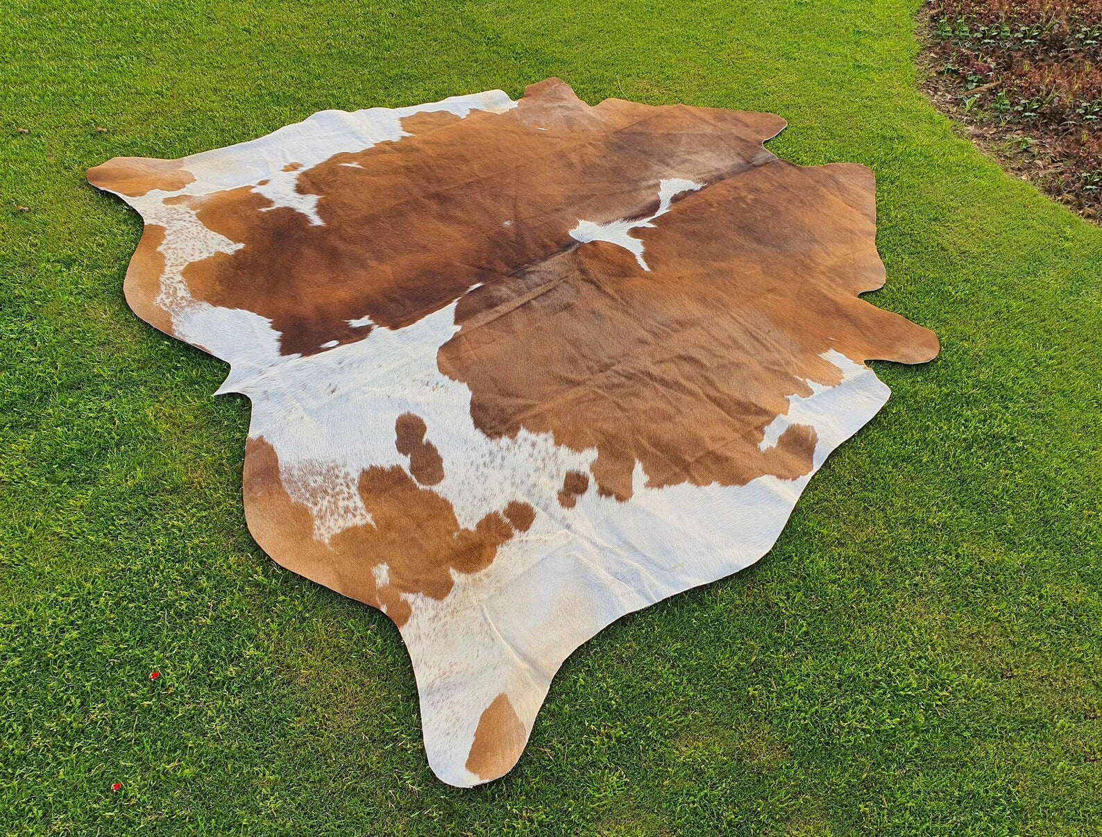 Exotic Brown and White Cowhide Rug-Genuine Panda Print Cow Skin Rug For Western Home Decor-Brazillian Floor Area Rug-Luxury Hair on Cowhide