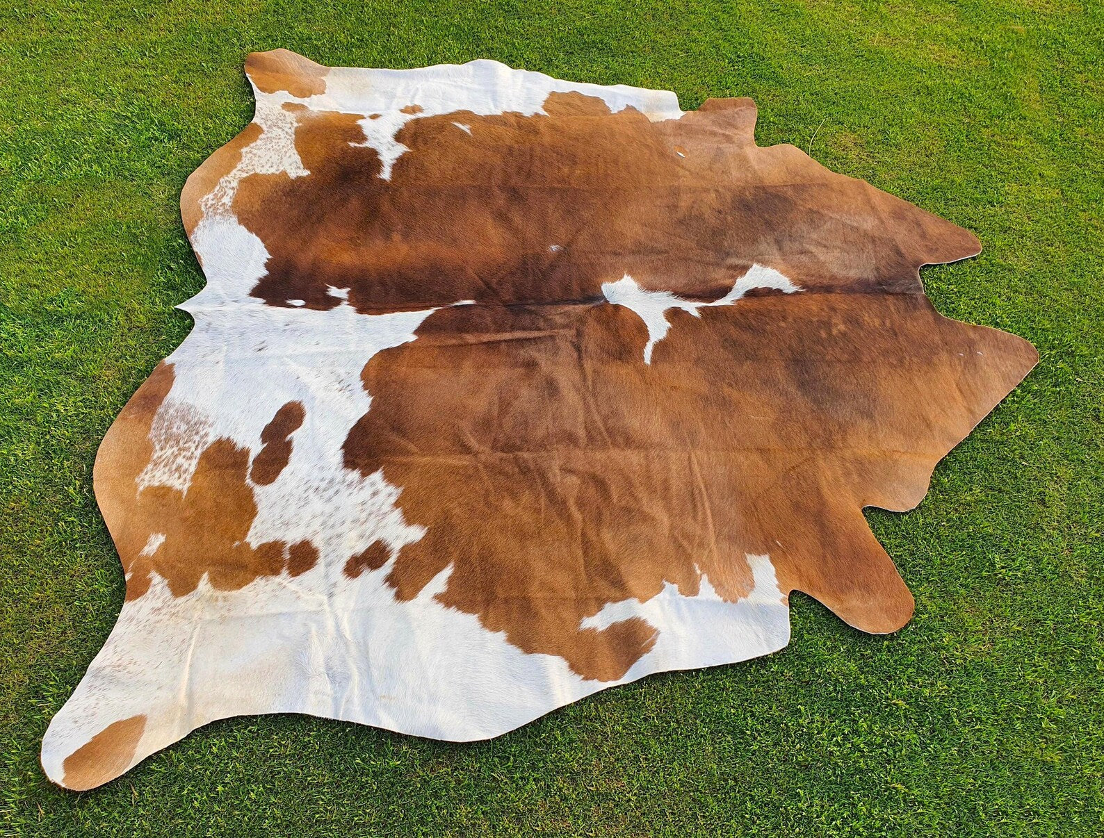 Exotic Brown and White Cowhide Rug-Genuine Panda Print Cow Skin Rug For Western Home Decor-Brazillian Floor Area Rug-Luxury Hair on Cowhide