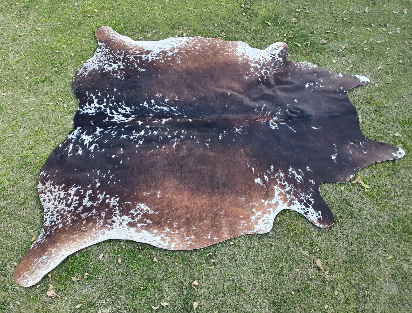 Cowhide Rug-Brown and White Brindle Cowhide Rug-Brazilian Cowhide Area Rug-Genuine Tricolor Cowhide-Large Cowhide Rug-Exclusive Cow Skin Rug