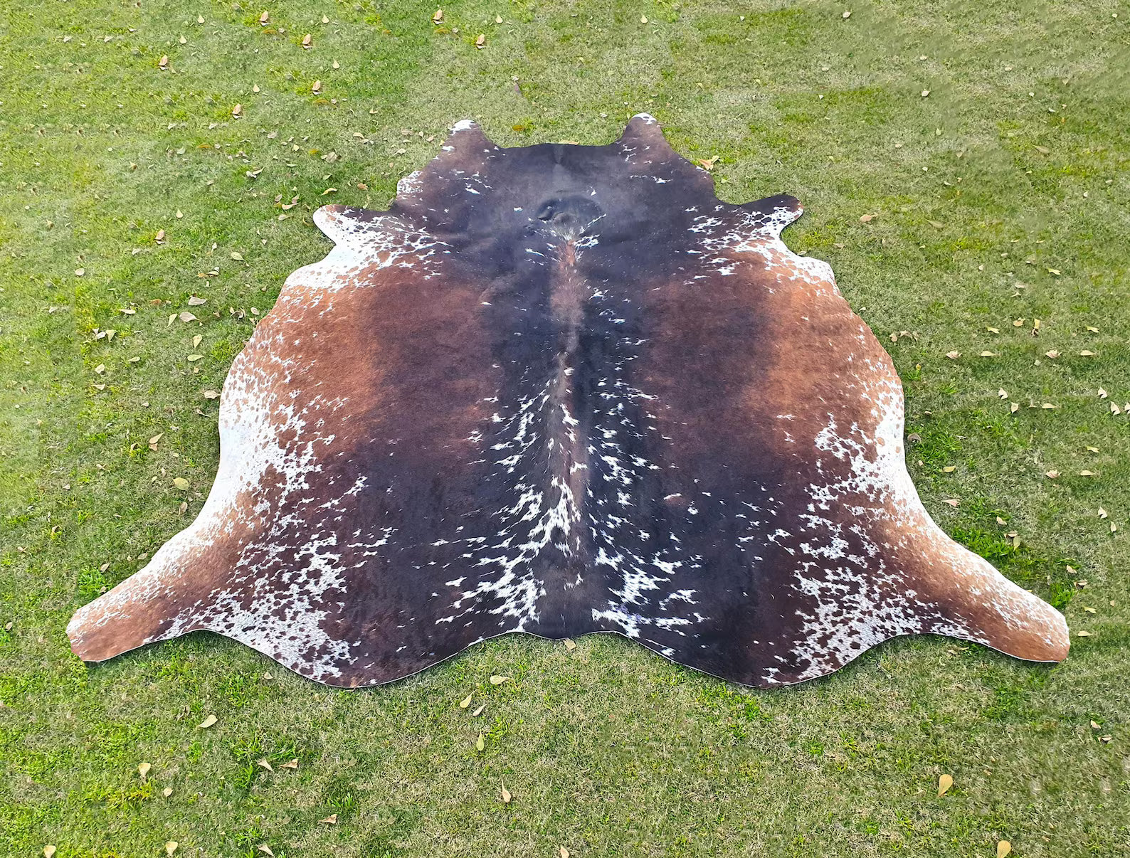 Cowhide Rug-Brown and White Brindle Cowhide Rug-Brazilian Cowhide Area Rug-Genuine Tricolor Cowhide-Large Cowhide Rug-Exclusive Cow Skin Rug