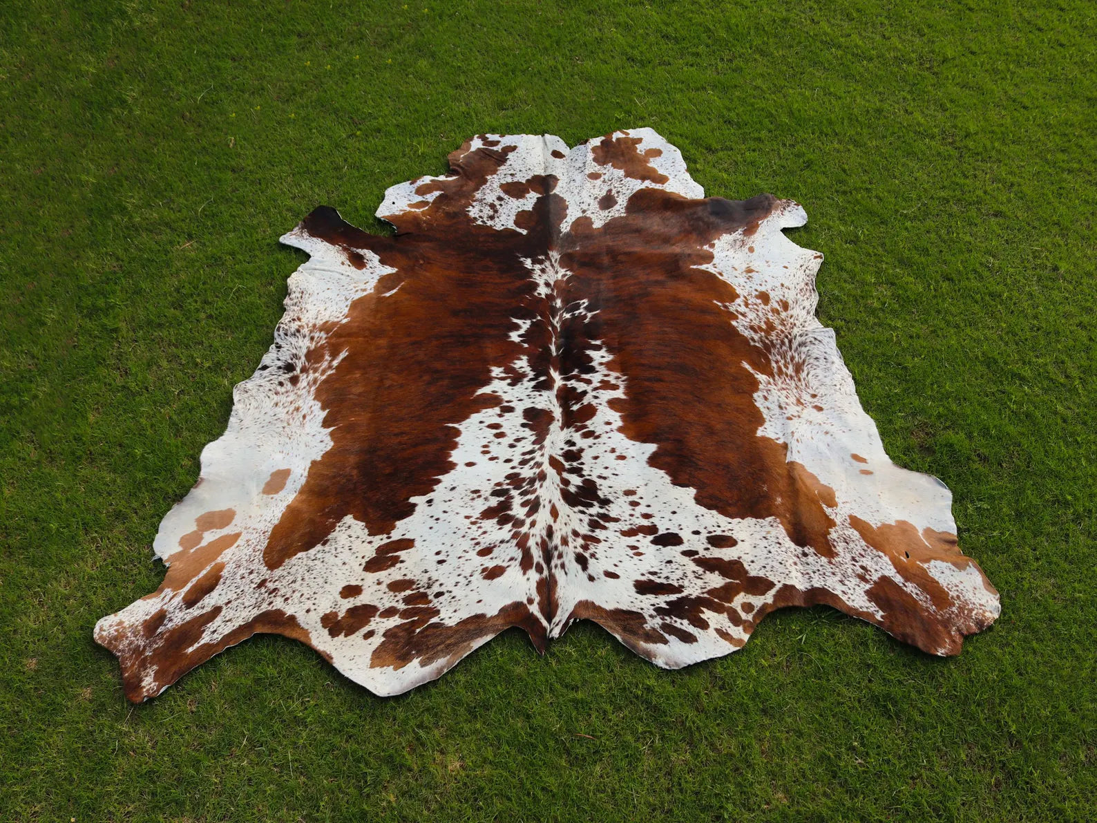 Natural Tricolor Brazilian Animal Skin Area Rug Genuine Brindle Cowhide Rug