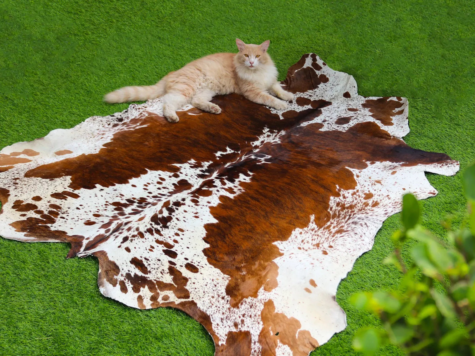 Natural Tricolor Brazilian Animal Skin Area Rug Genuine Brindle Cowhide Rug