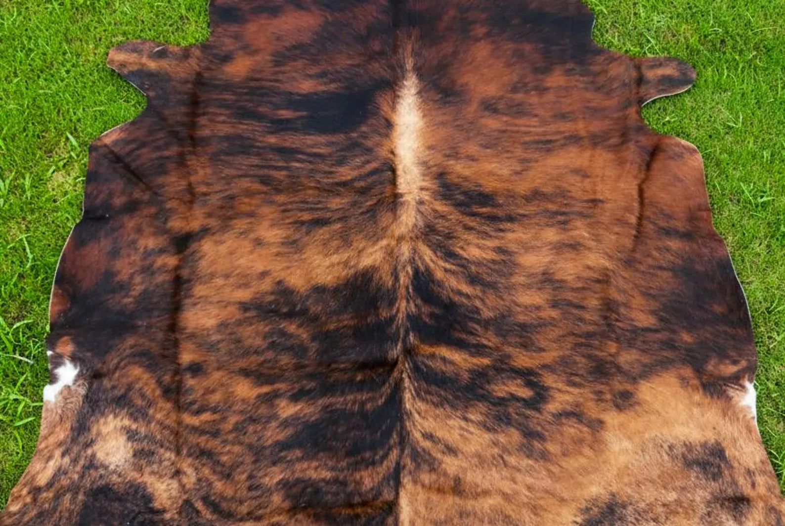 Genuine Brindle Cowhide Rug Tricolor Brazilian Animal Skin Area Rug