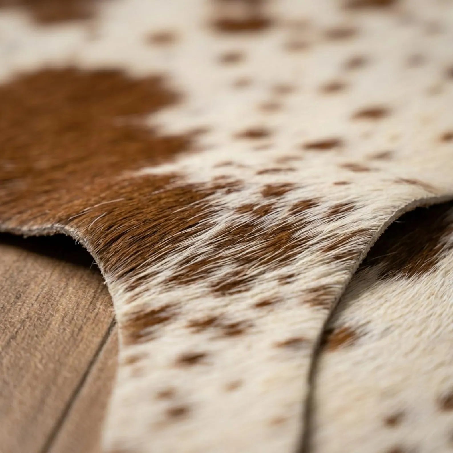 Brown & White Cowhide Rug Price in Pakistan | Premium Genuine Cow Skin Rug | Export Quality