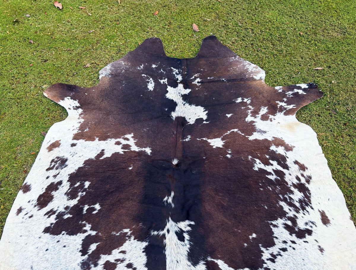 Natural Dark Brown and White Cowhide - Brindle Cow Skin - Hair on Cowhide - Real Cow Rug