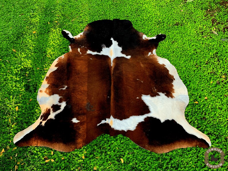 Premium Brown, Black & White Cowhide Rug – Natural Cow Hide Rug in Pakistan