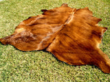 Premium Solid Brown Cow Hide Rug | Genuine Chocolate Brown Cowhide Rug | Cow Hide Rug Price in Pakistan | Natural Cow Skin Carpet