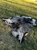 Premium Speckled Cow Hide Rug | Genuine Black & White Cowhide | Cow Hide Rug Price in Pakistan | Natural Cow Skin Carpet