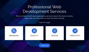 "Professional Website Development Services promotion graphic featuring icons for branding, quality, design, and creativity"